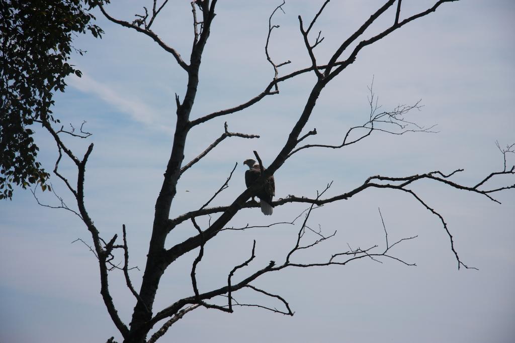 Cliff Dweller On Lake Superior Tofte Buitenkant foto